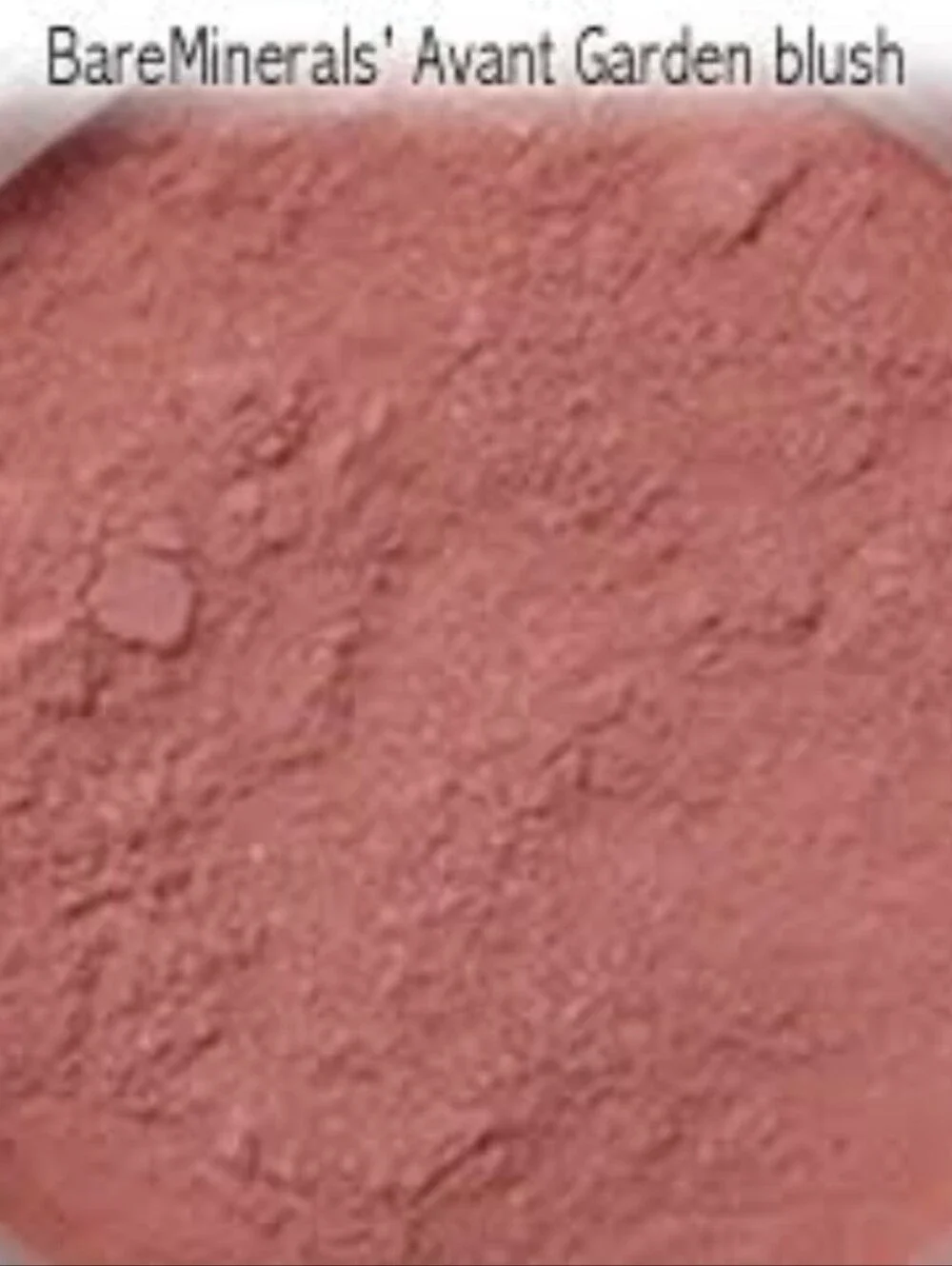 ❇️🧚‍♀️AVANT GARDEN BareMinerals DISCONTINUED Blush NWT